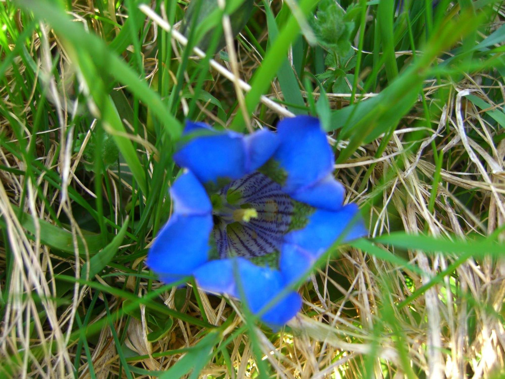 Apart Lurega - Inklusive Sommer Card Galtür Exteriér fotografie